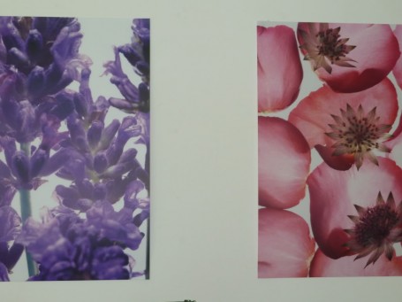 Jennie Harding and Tisserand Aromatherapy 9 Photobucket