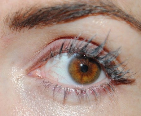 Model Co fibre Lash Brush On False Lashes Model Co fibre Lash Brush On False Lashes