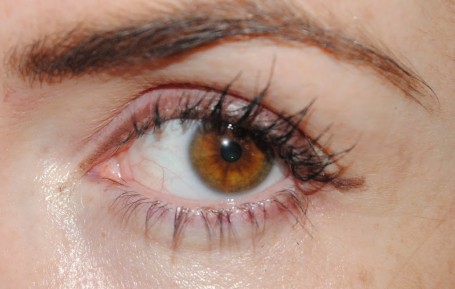Model Co fibre Lash Brush On False Lashes Model Co fibre Lash Brush On False Lashes