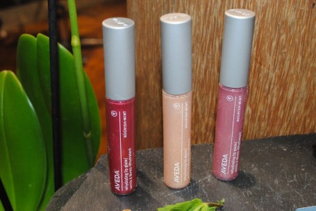 aveda 252Blipgloss 252Bpassion 252Bflower 252Baw12 428x2861